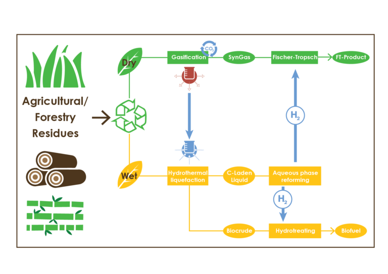 Schema-white background
